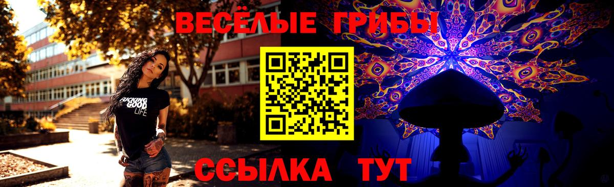 Галлюциногенные грибы Psilocybine cubensis  Вход с VPN  Павлово 