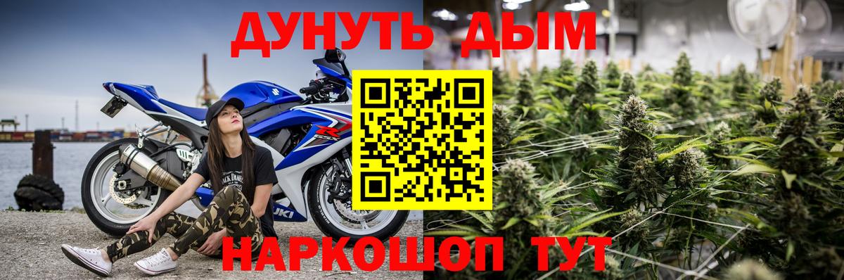 Конопля SATIVA & INDICA  Каннабис семена  Павлово  Вход с VPN  МАРИХУАНА ГИДРОПОН 